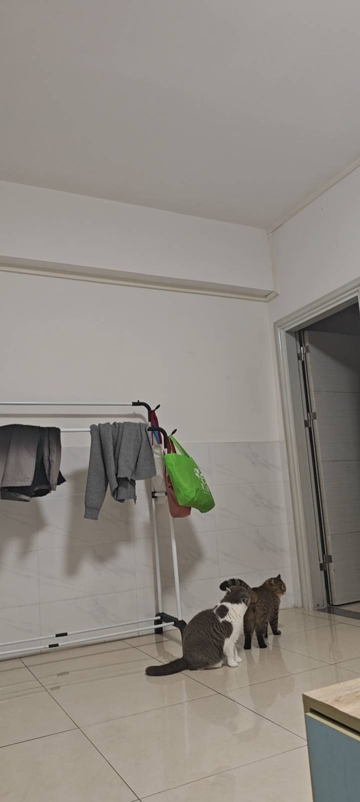 Dalingshan 城季时尚公馆