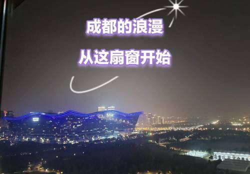 武侯 中洲锦城湖岸一期