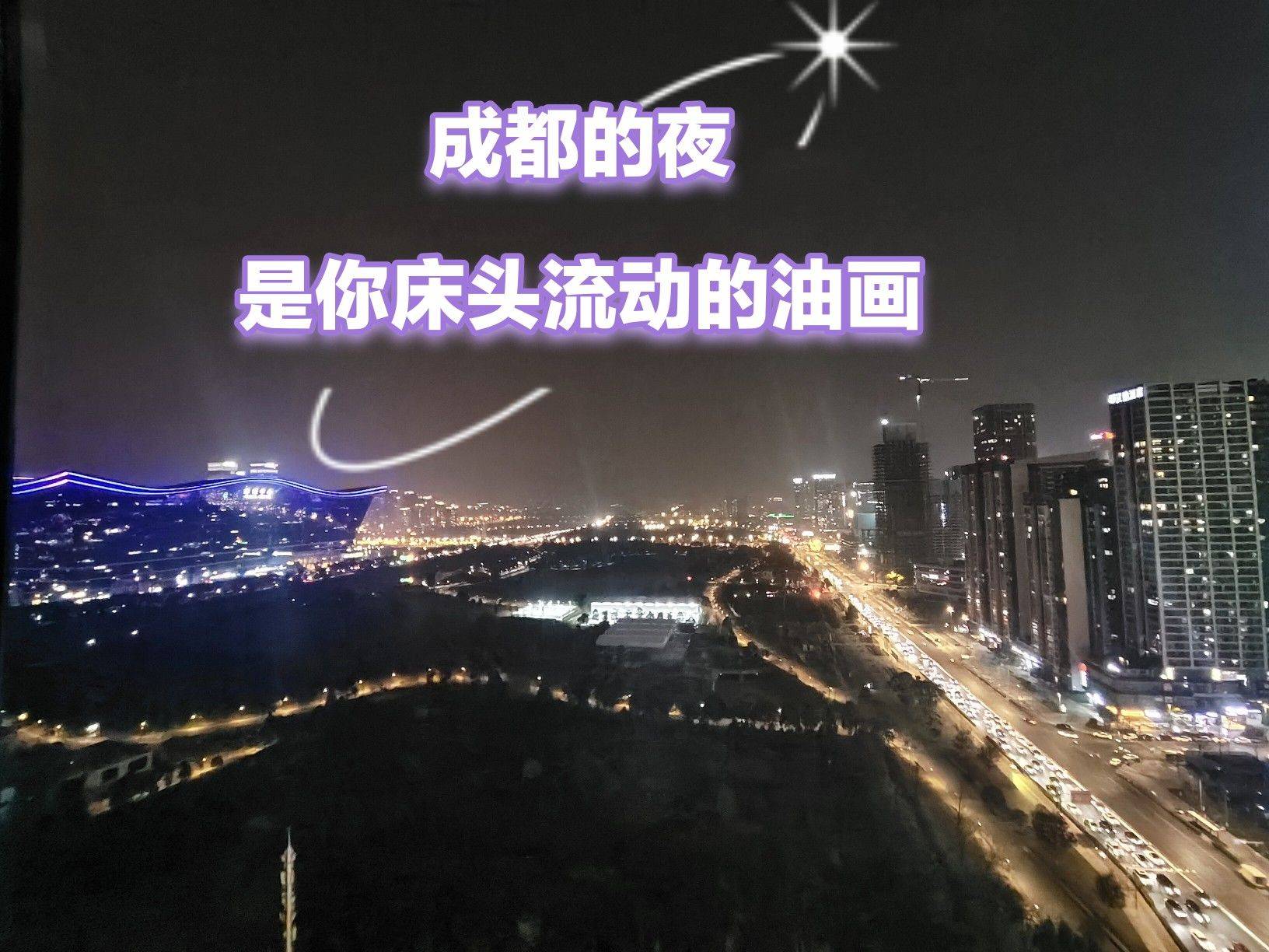 成都 武侯 | 中洲锦城湖岸一期_8