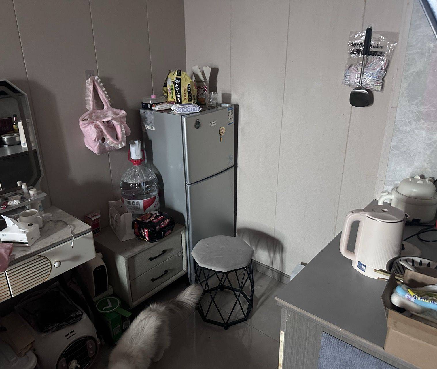 你屁话好多整租房源1