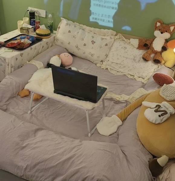 我跳楼贼快整租房源2