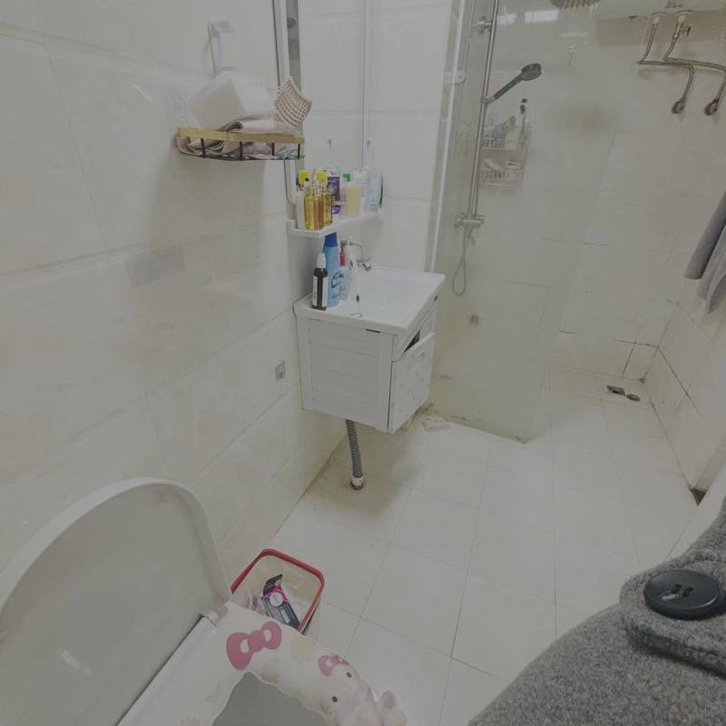 東莞 莞城 | 东方美誉_6