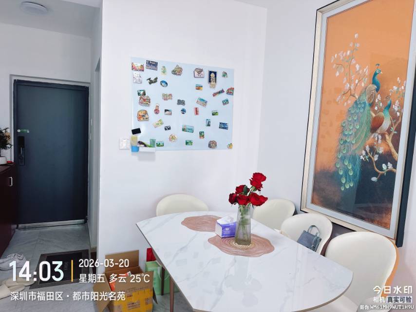 昕光映芸整租房源2