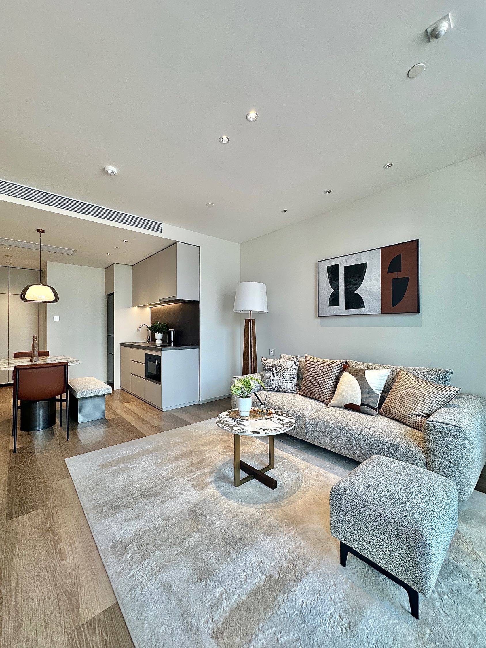 29只羊🐑整租房源1