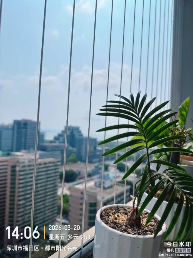 深圳 福田 | 都市阳光名苑_7