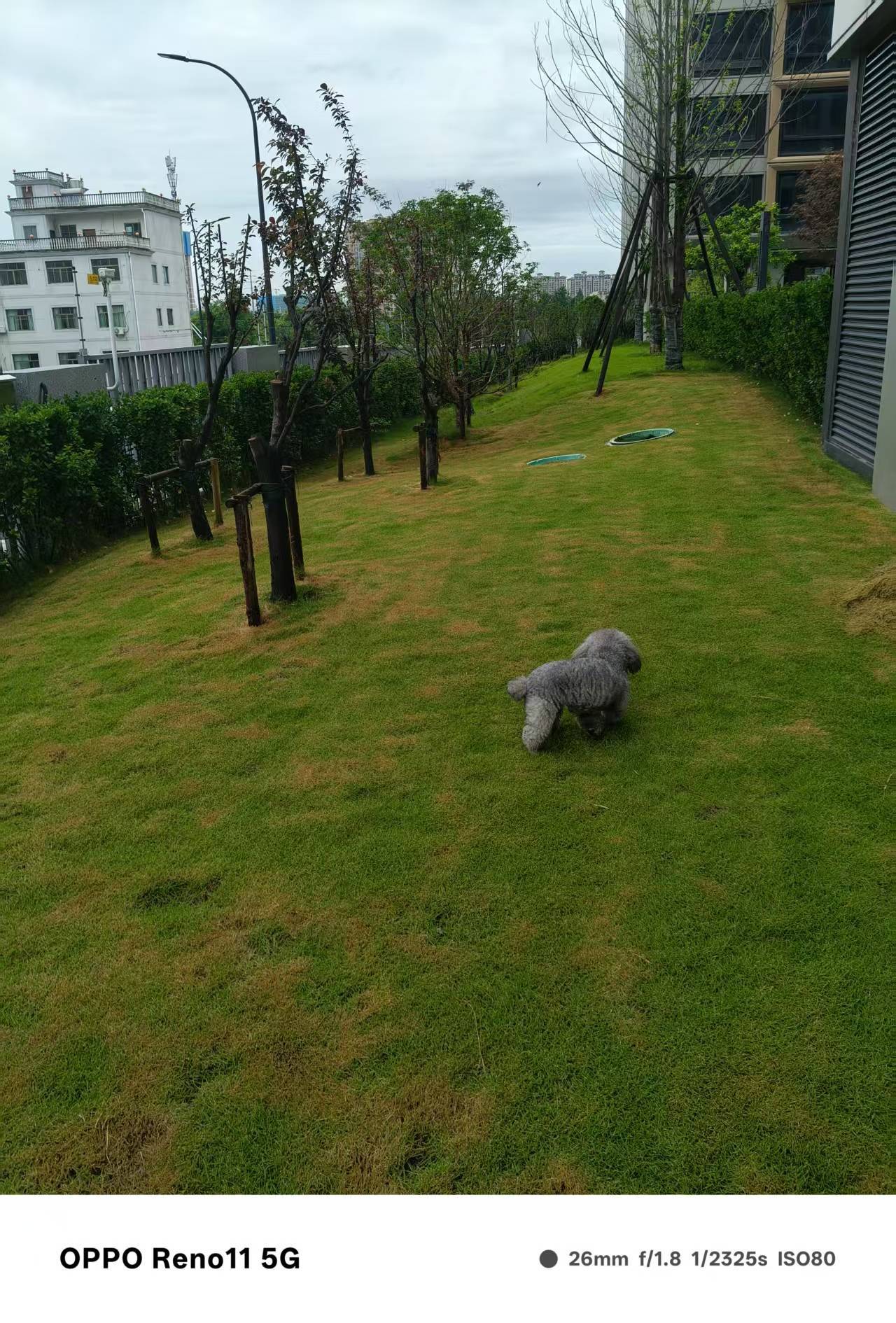 永康 山水新城望辰府