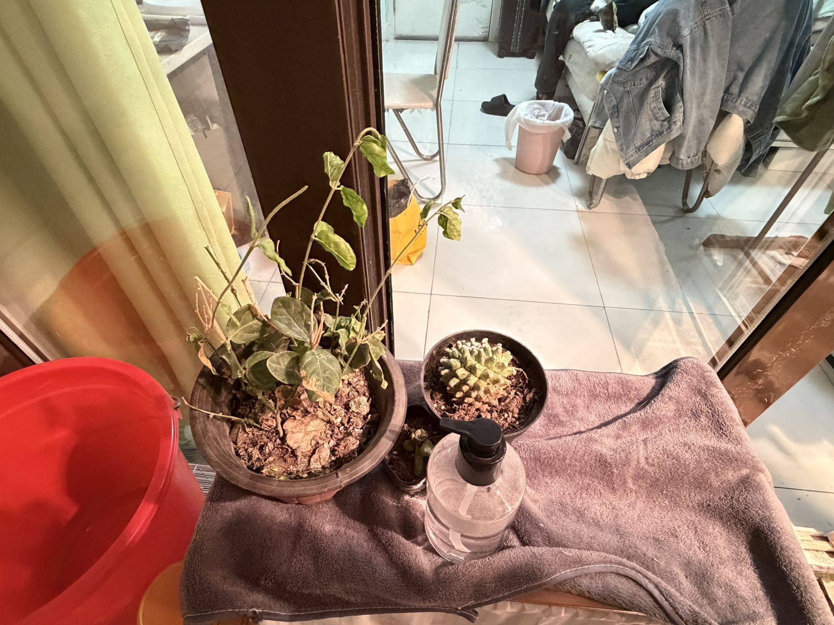 上海 寶山 | 美罗家园罗贤苑社区-4号楼_3