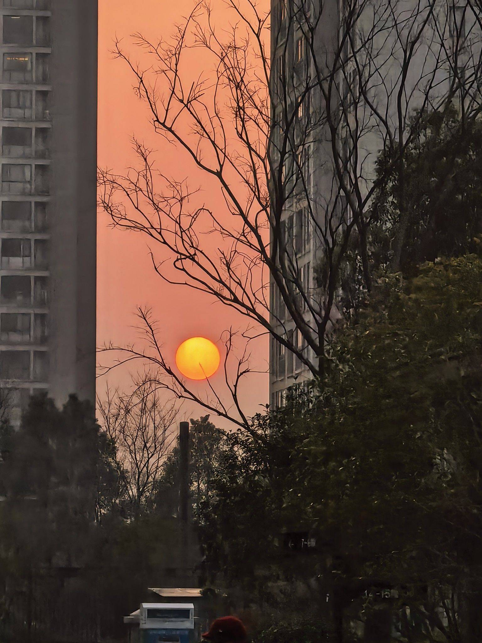 EZIO整租房源1