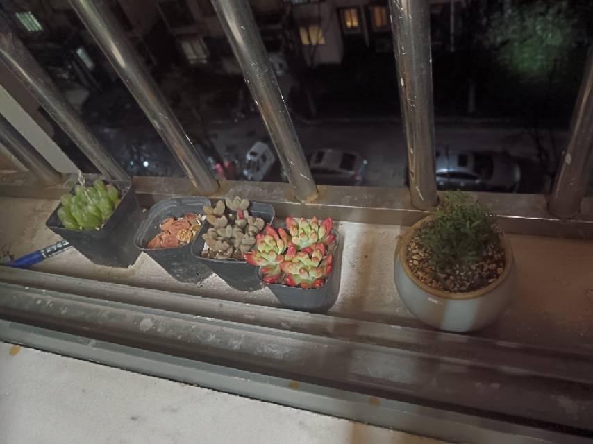 上海 闵行 | 江南星城叠翠江南_6