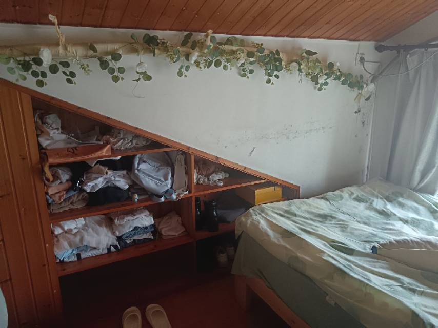 幼崽园整租房源1