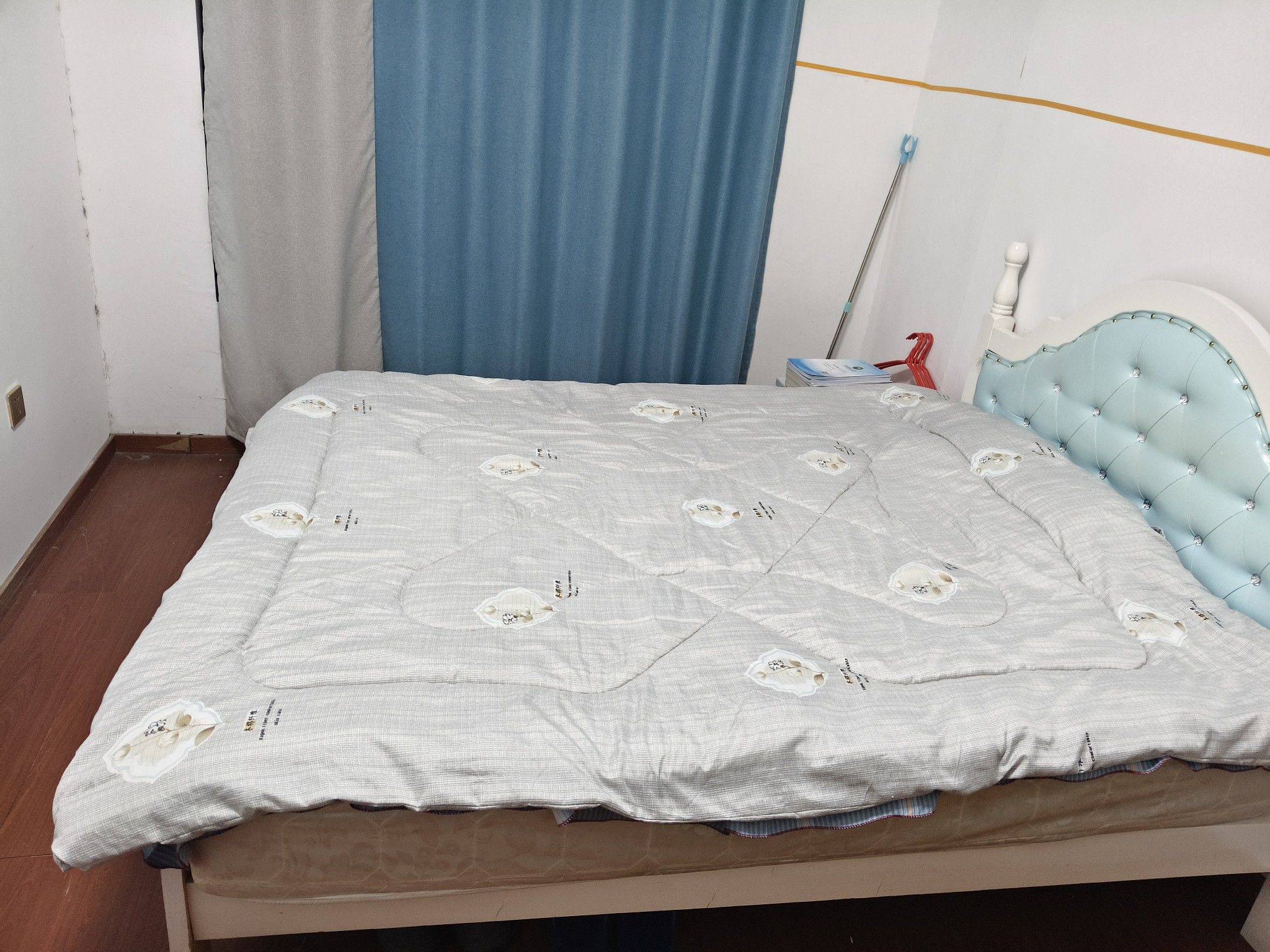 闻人苍月整租房源2