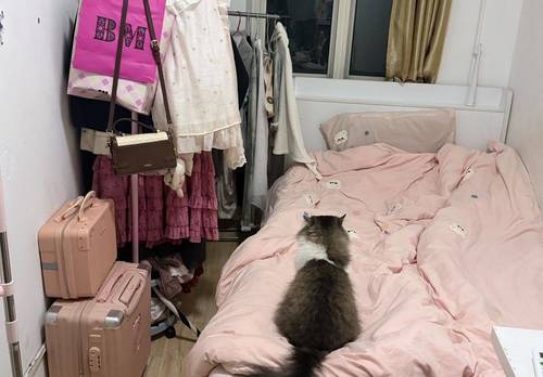 鼓楼 圣淘沙花城