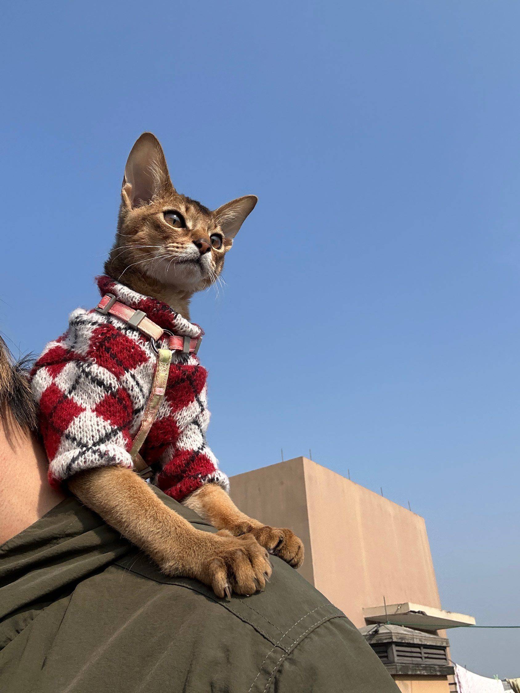 杭州 拱墅 | 两宜里_3