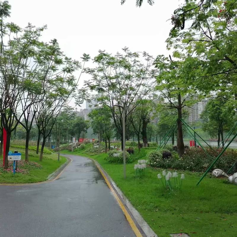 廣州 南沙 | 中国铁建环球中心-7栋_6