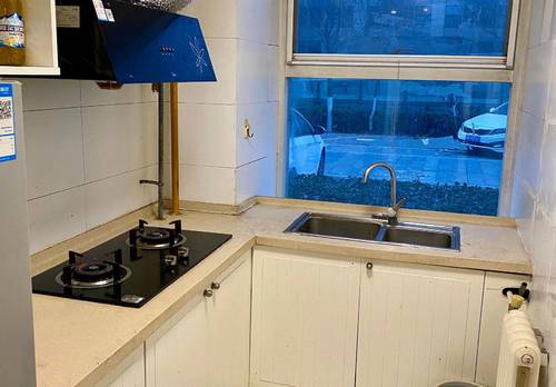 東麗 蓝庭公寓-6号楼