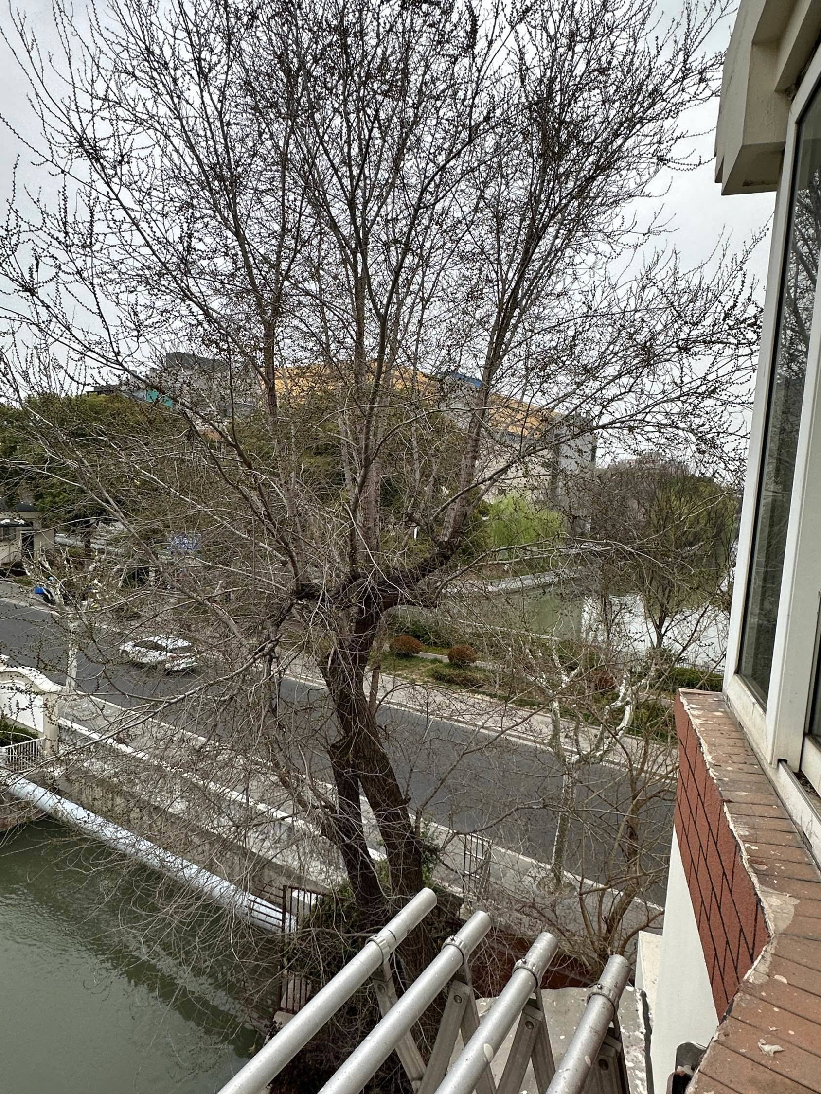 Riccardo 力加度整租房源3