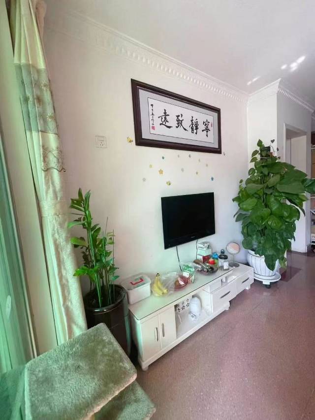 Shenzhen Nanshan | 留仙居北区-5栋_8