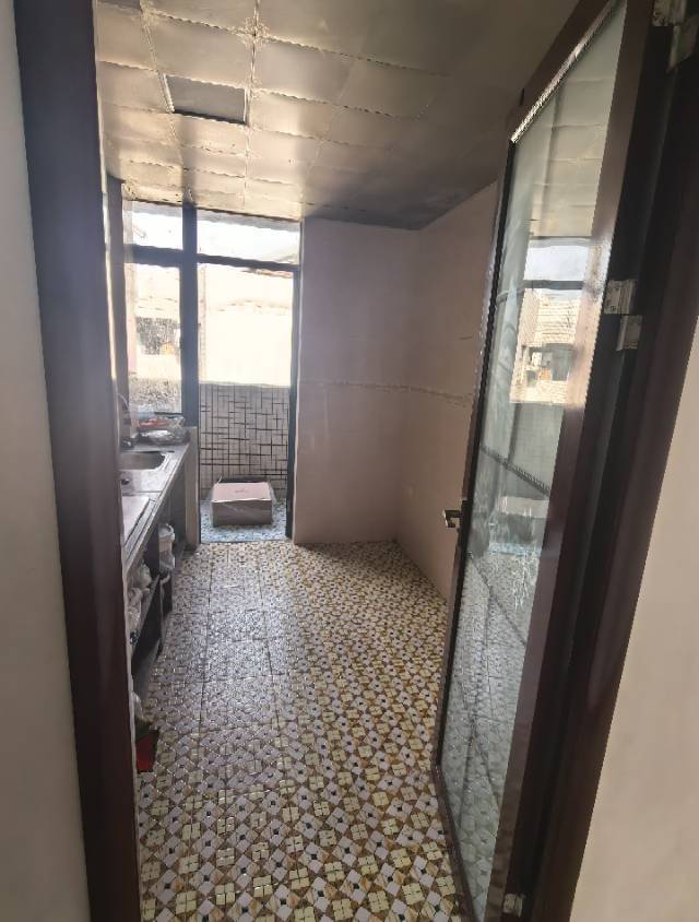 沙田 活力粤港西区