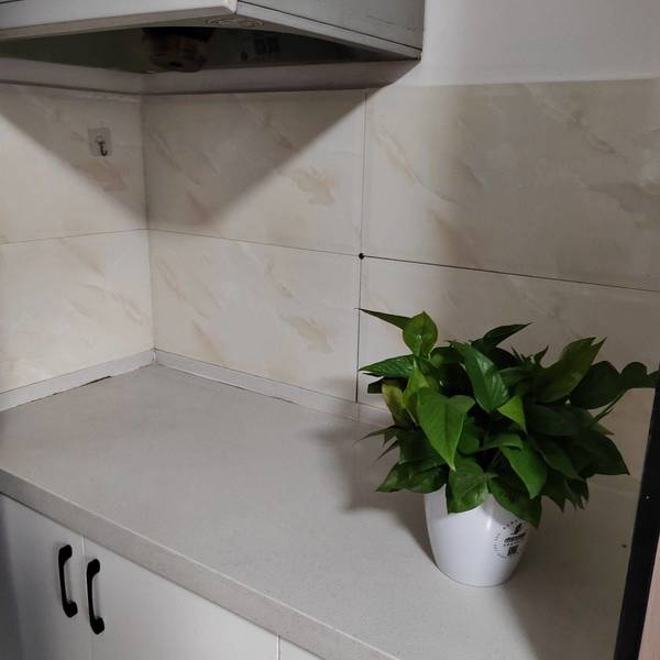 房东忠哥整租房源2