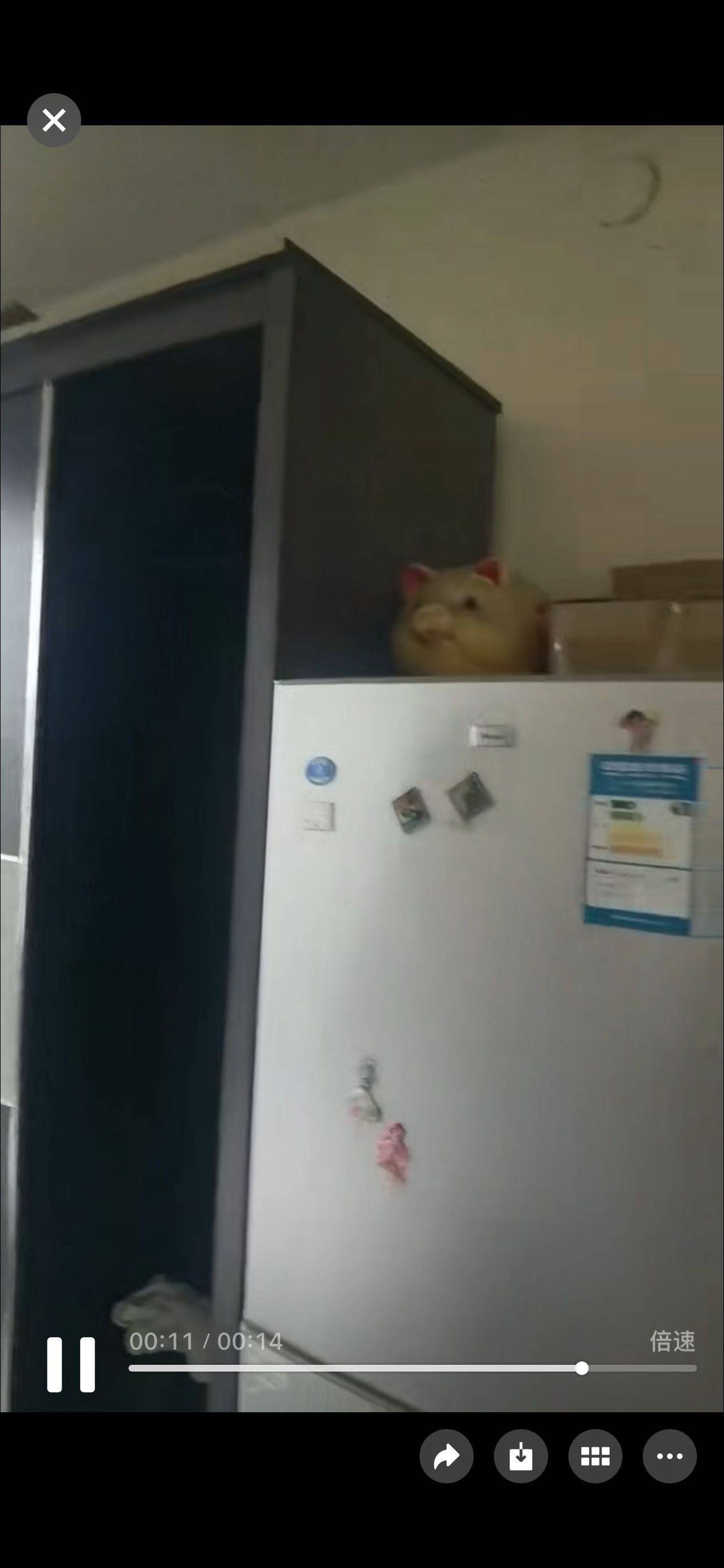 沈阳 皇姑 | 北区花园-苗山路16~2号楼_5