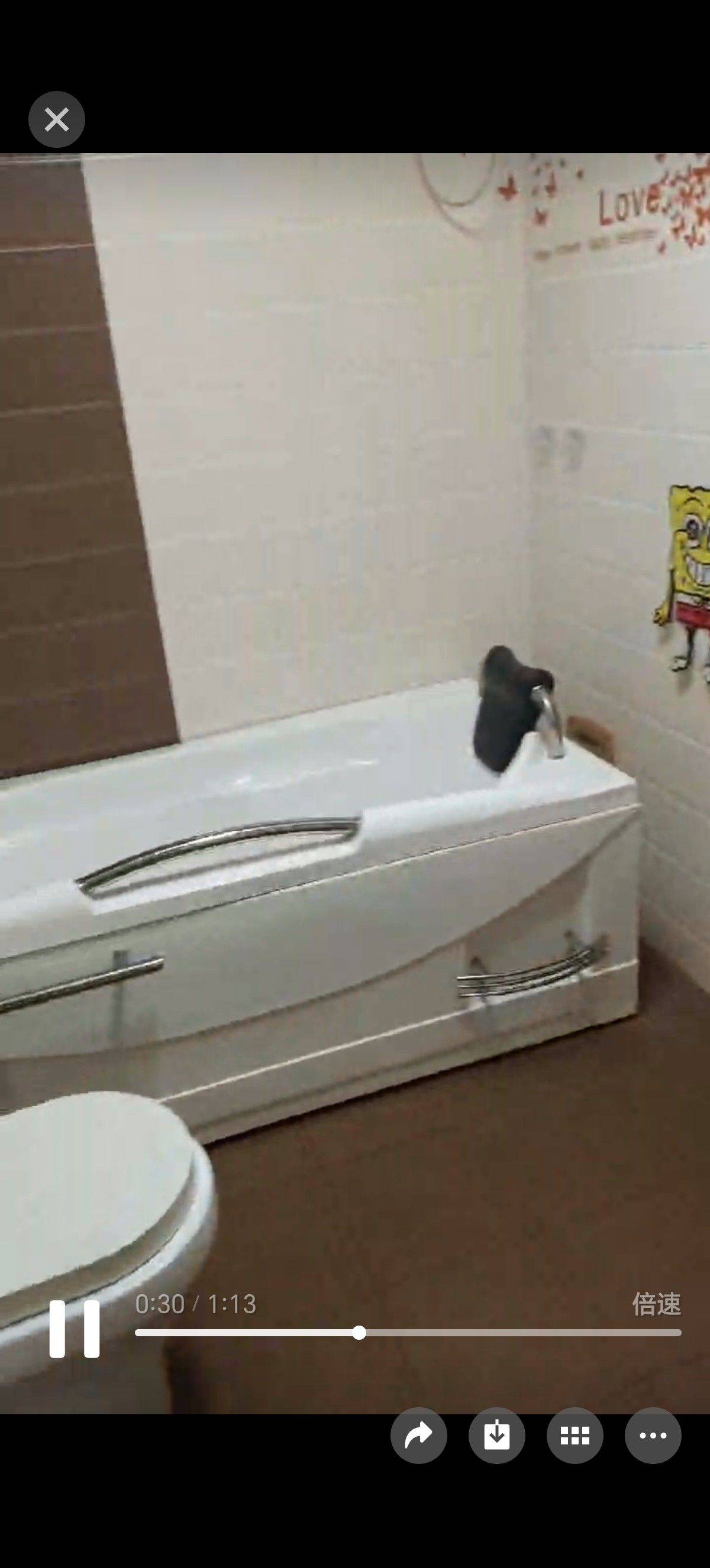 陈灵均（Astra）整租房源2