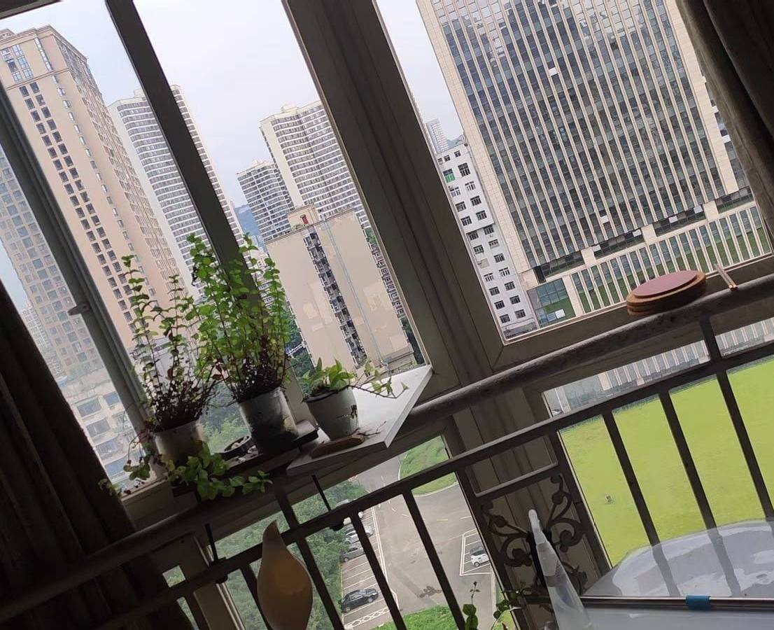 Chongqing Liangjiang New Area | 华新骄阳_5