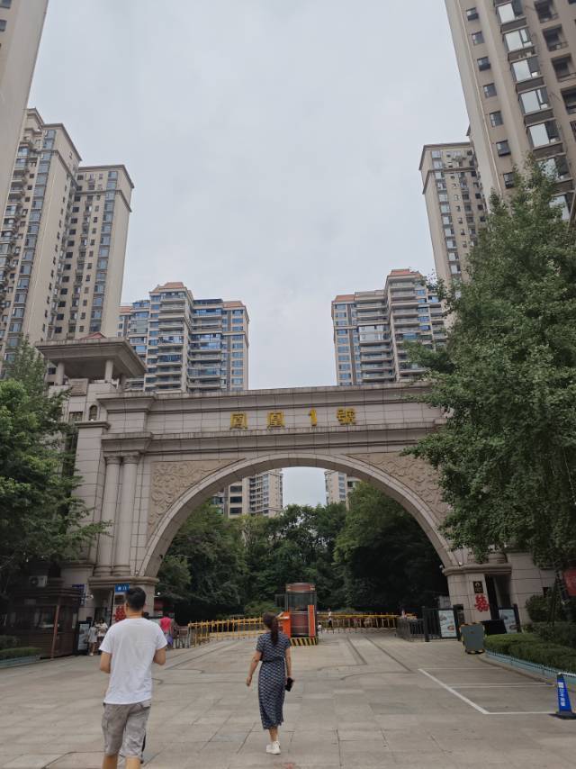 成都 青白江 | 凤凰1号_4