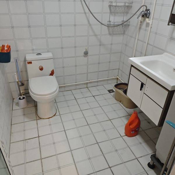 流芳百世的代号整租房源3