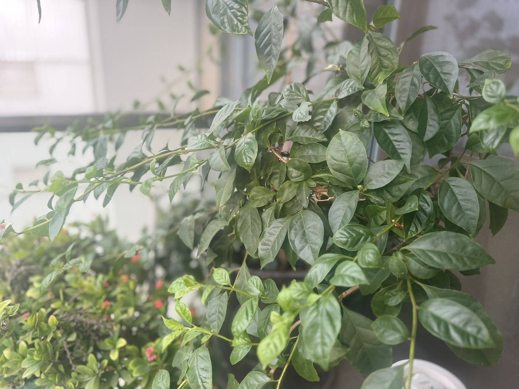 珠海 香洲 | 清华十二郡_4