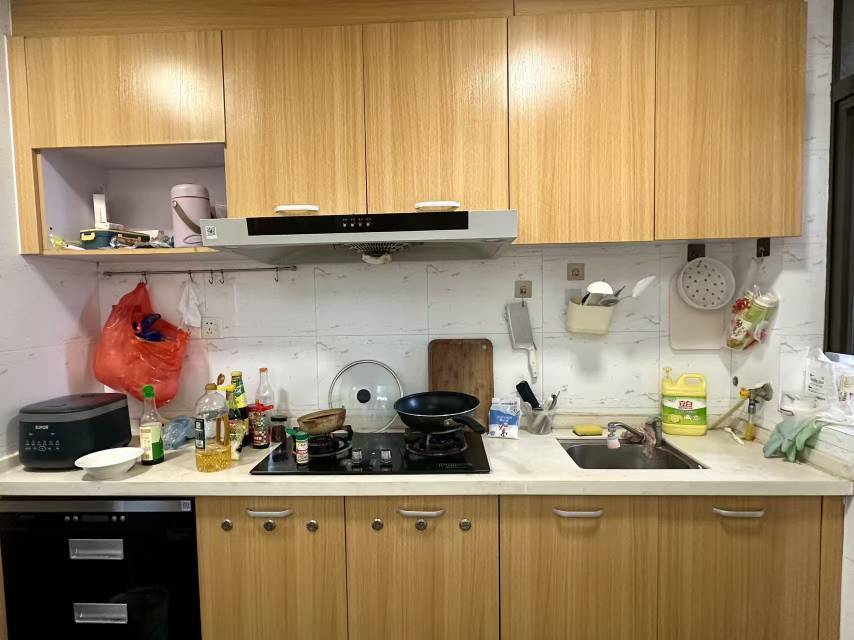 佛山 南海 | 领地海纳豪庭_4