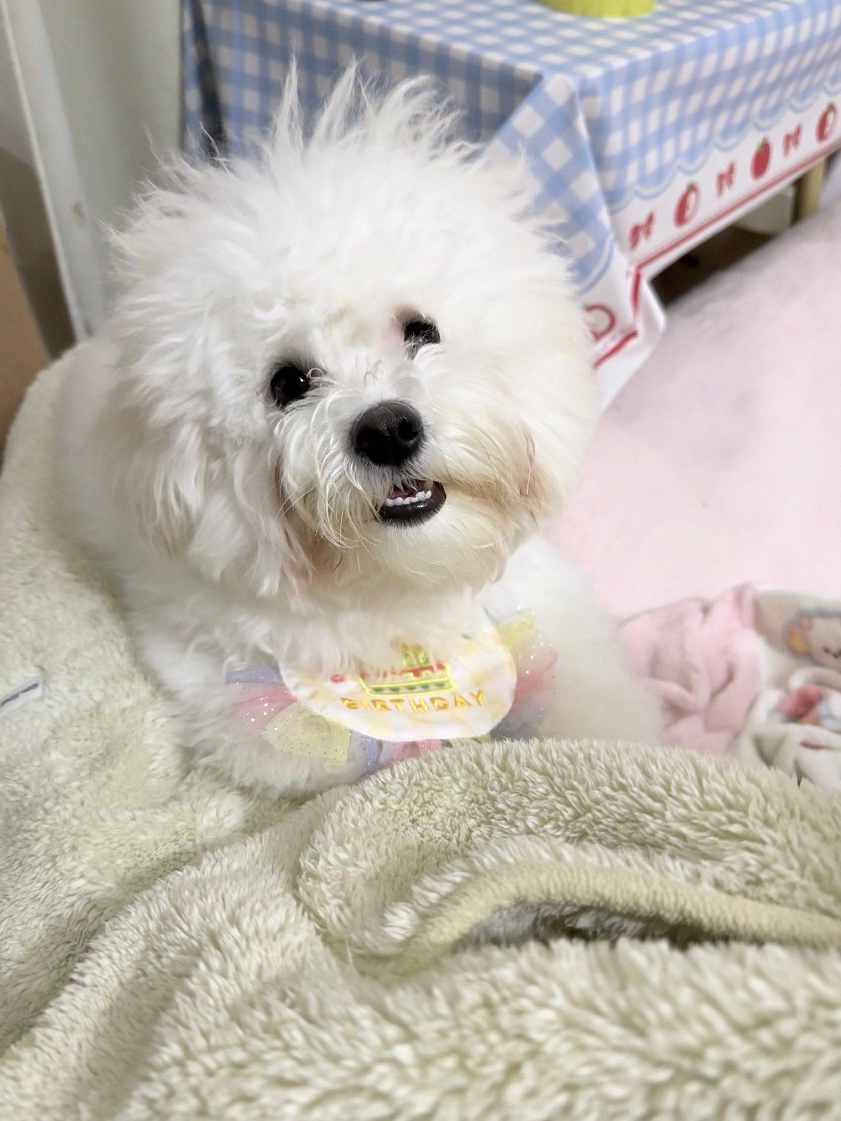 無錫 蠡湖區 | 张巷新村_4