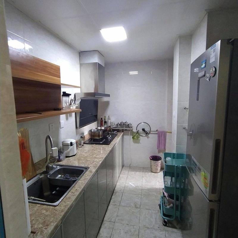 成都 武侯 | 合能璞丽_4