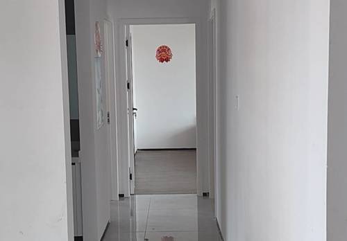 海棠 海棠湾安置别墅区