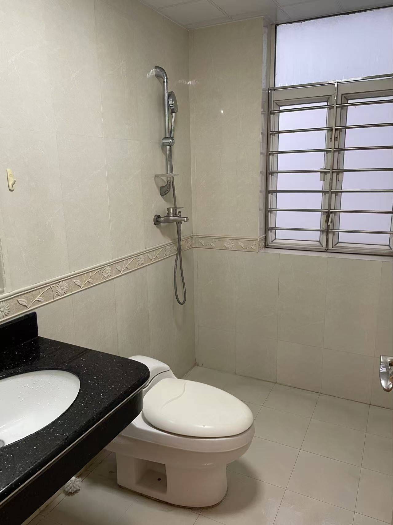 東莞 長安 | 中惠山畔名城_4