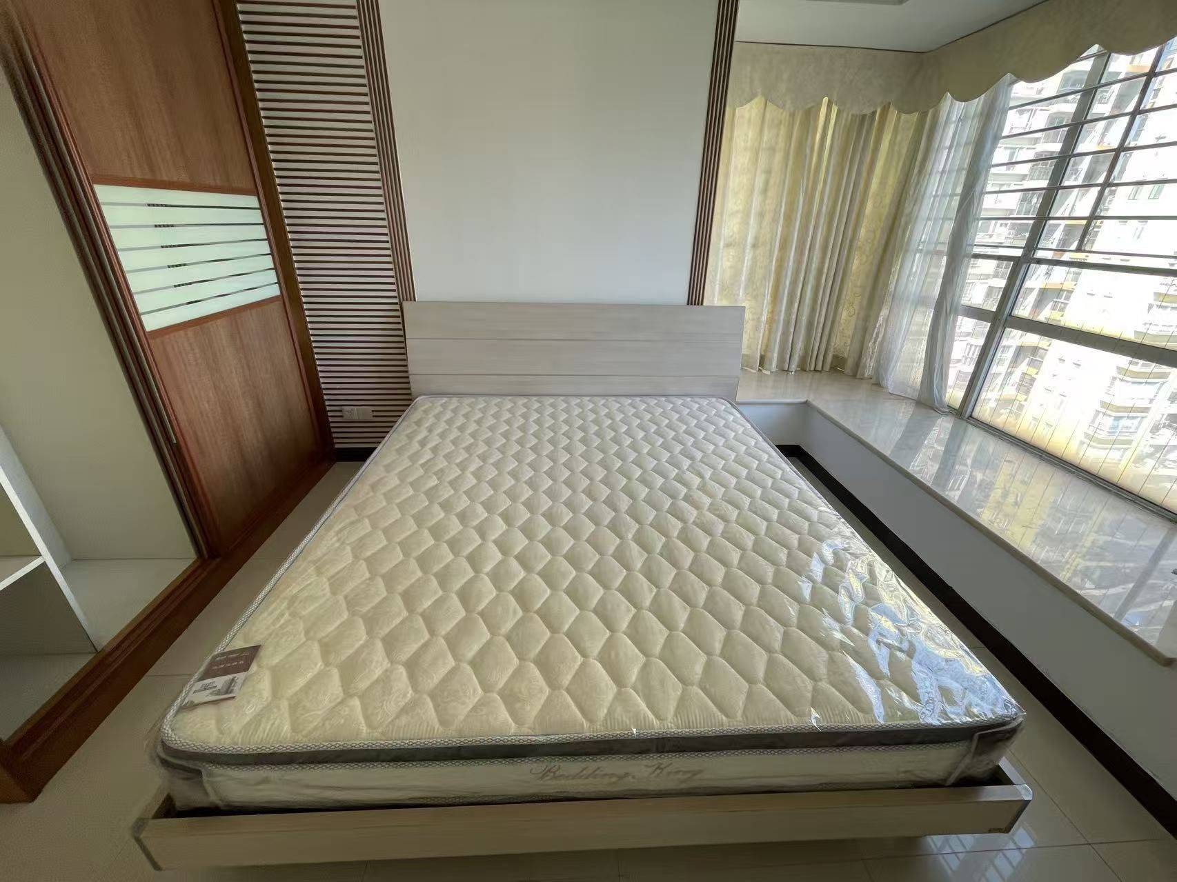 東莞 長安 | 中惠山畔名城_3