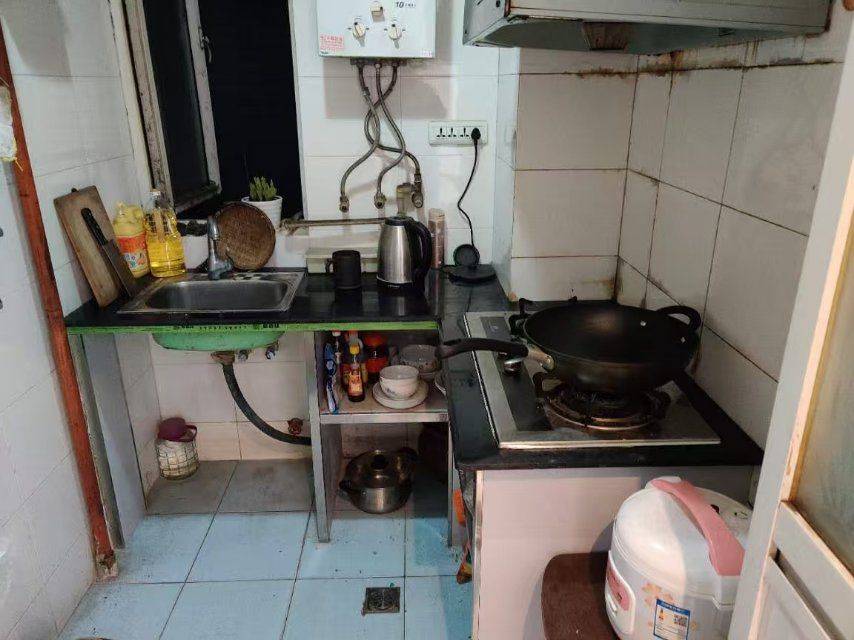 重庆 沙坪坝 | 卫星半岛花园_3