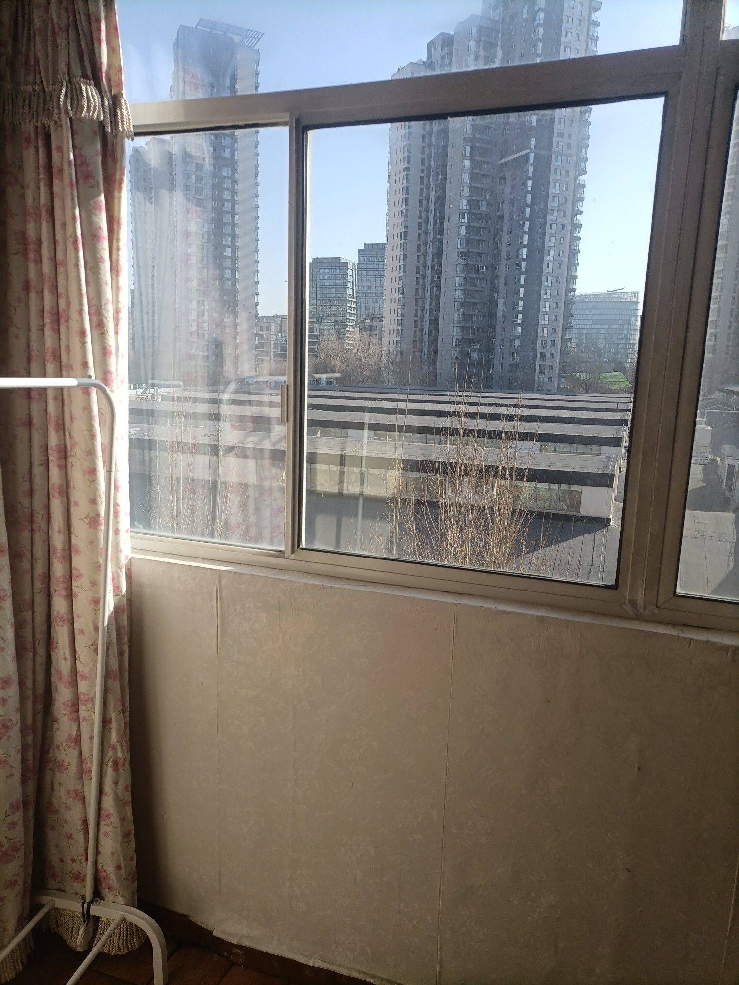 森林之王整租房源2