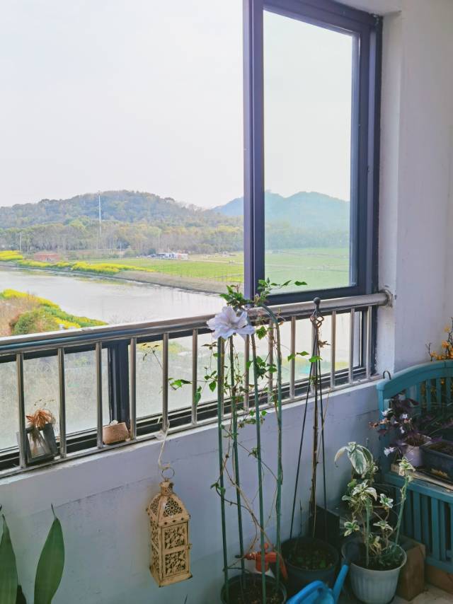 Shanghai Songjiang | 秋雅苑_4