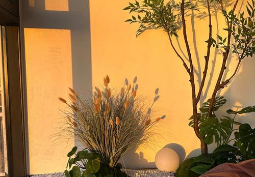 兩江新區 北回归线