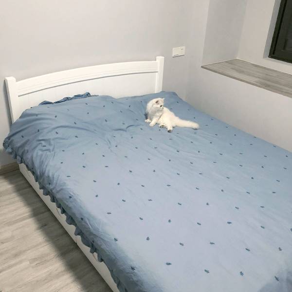 小懒鹿整租房源3