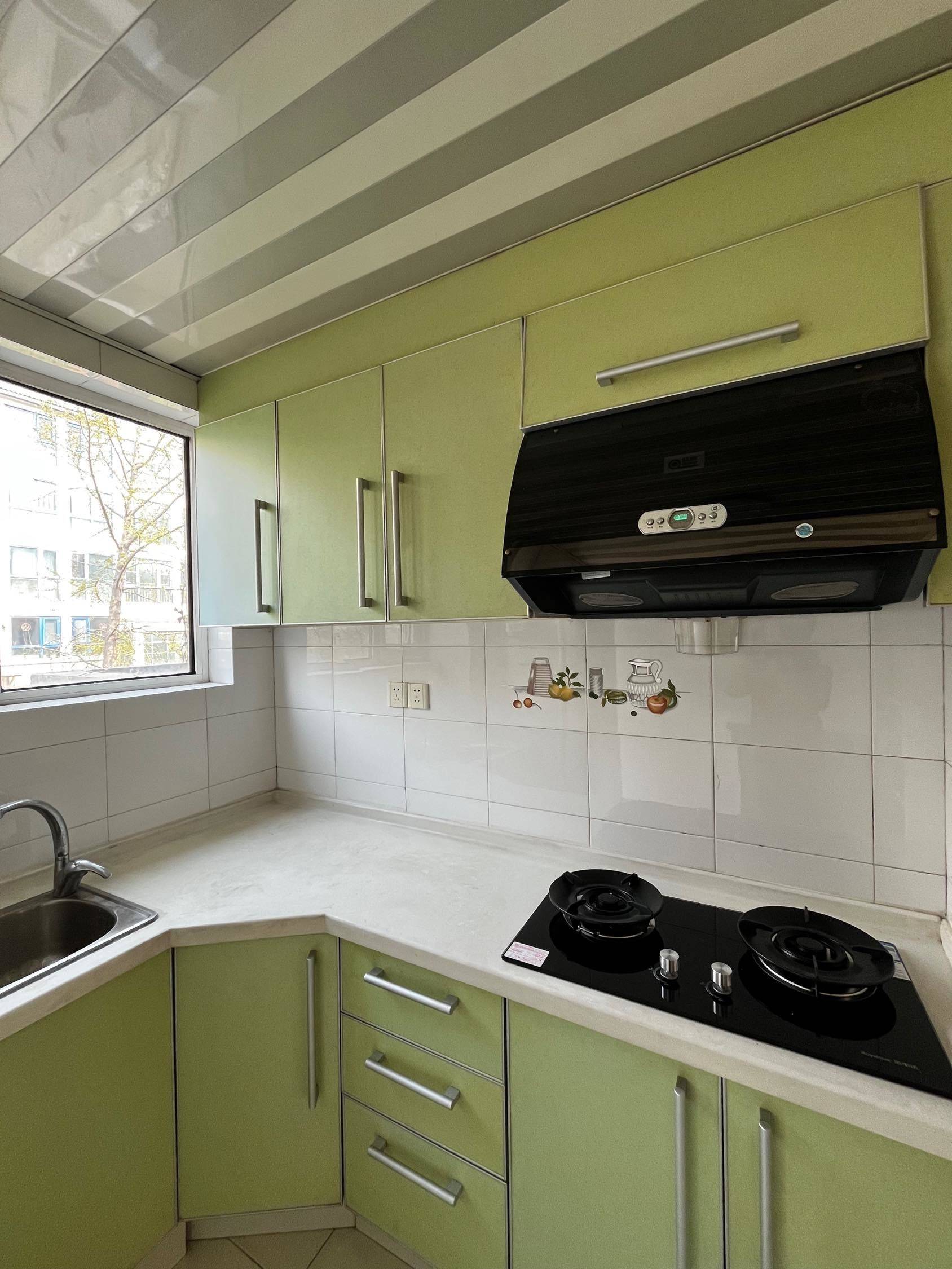 Beijing Daxing | 天宝园大雄郁金香舍社区_6