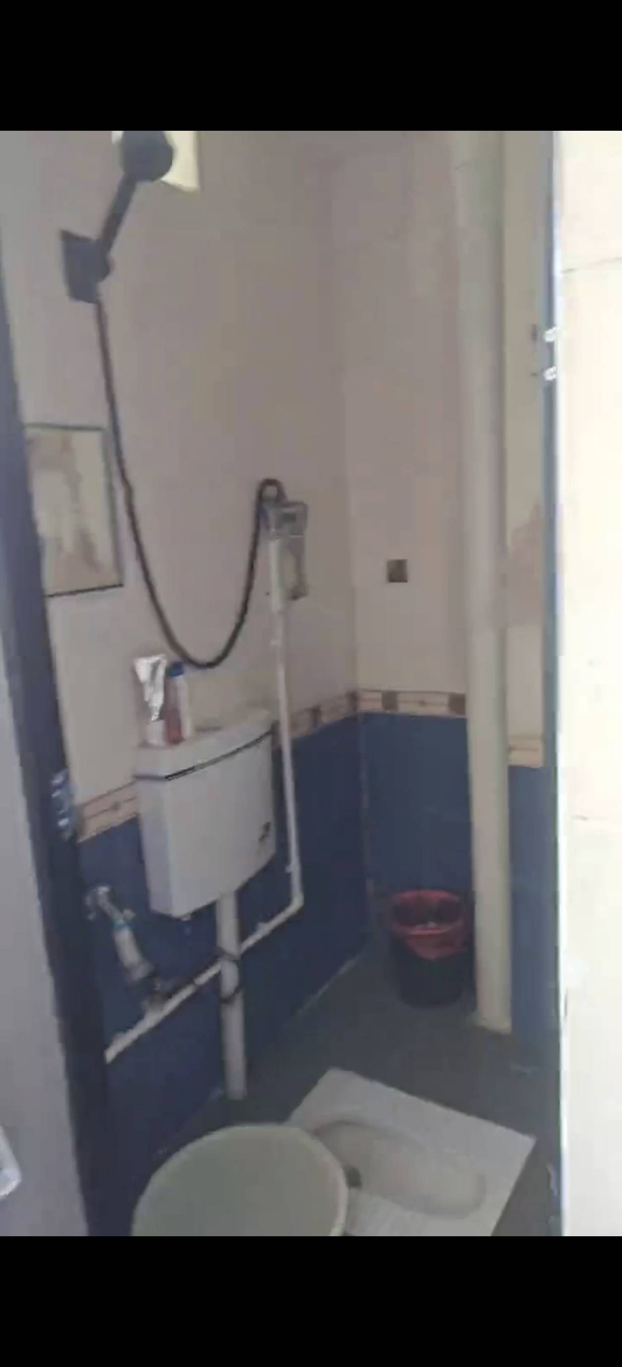 蓝色派大星整租房源3