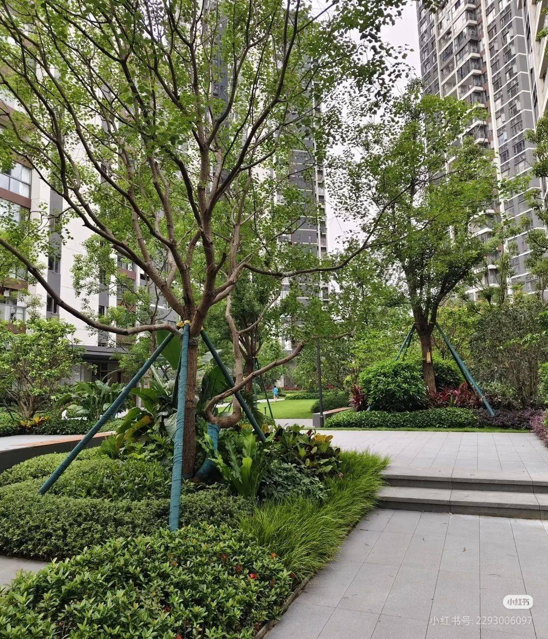 万江 中海·十里溪境