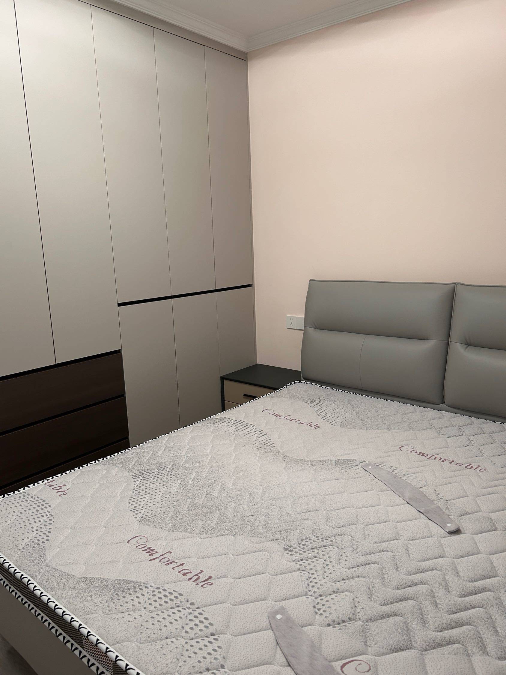 南京 雨花台 | 上铁·月和园_5