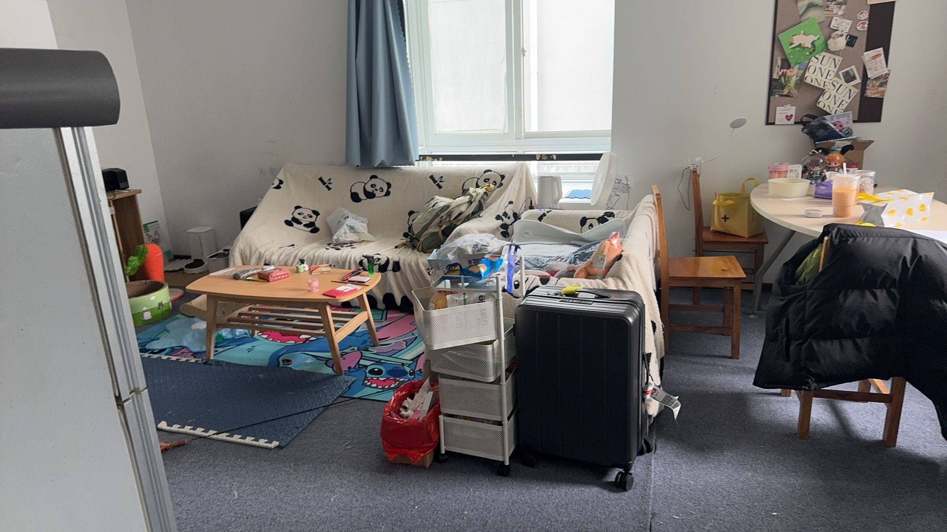 椰萨环岛整租房源2