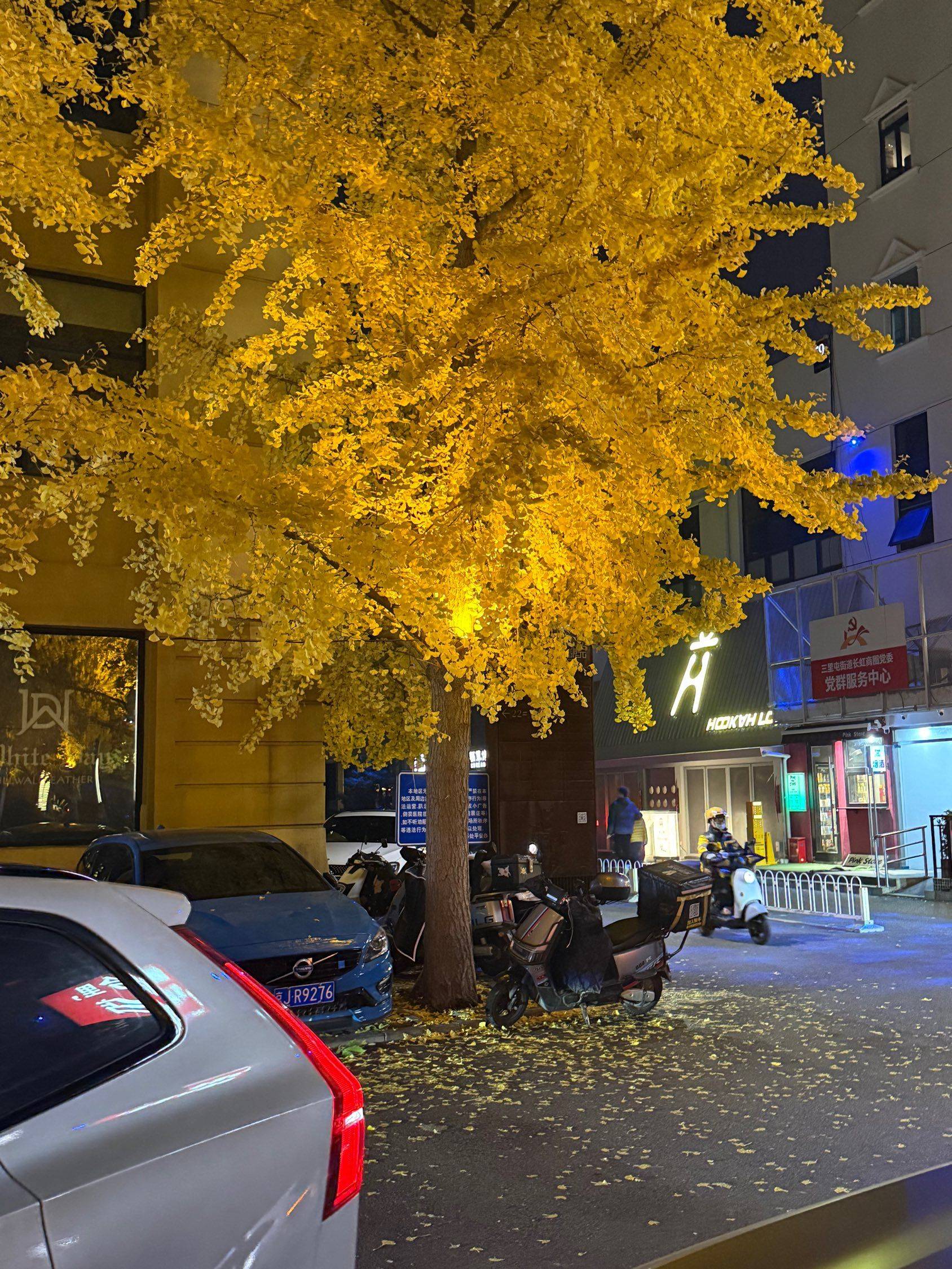 高众磊整租房源3