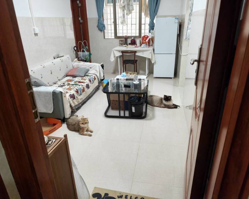 佛山 禪城 | 湾华村_6