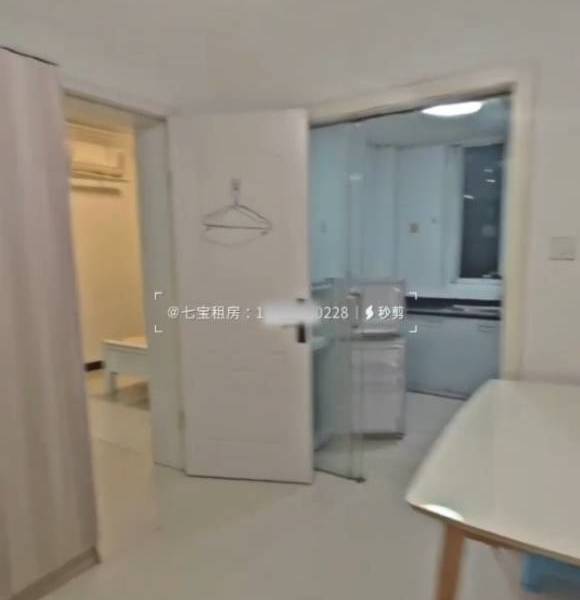 你在南方的痒痒鲤~整租房源2