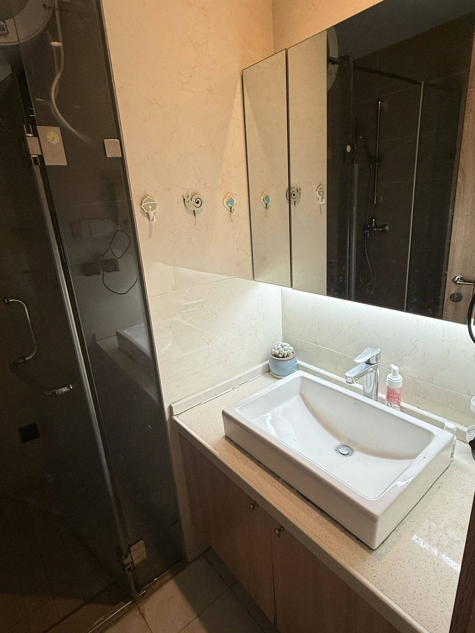 俯冲的胡辣汤整租房源3