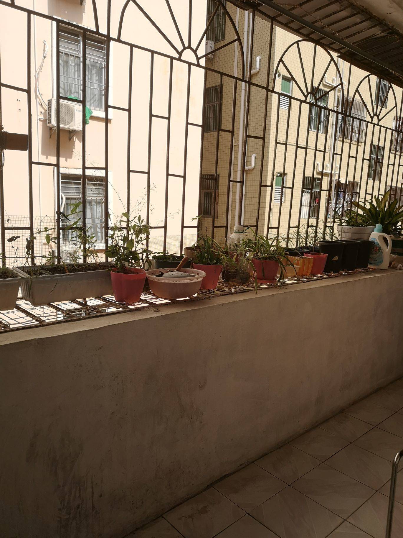 Shenzhen Longhua | 樟坑三区_7